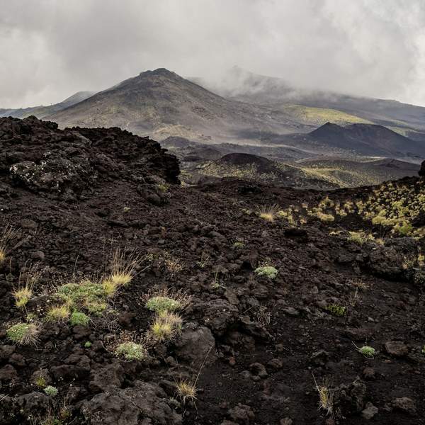 토지거래허가구역